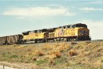 Coal empties cruise north